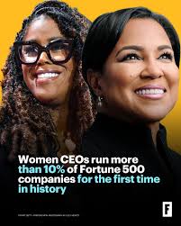 Image result for Robyn 500