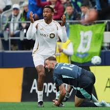 Image result for fotbal foarfeca