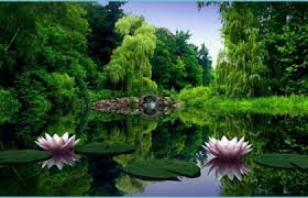 Support us by sharing the content, upvoting wallpapers on the page or sending your own background pictures. 10d Background Wallpaper 10d Wallpapers For Desktop Background 10 3d Nature Wallpaper 4k Neat