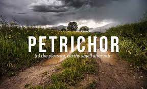 32 Of The Most Beautiful Words In The English Language Most Beautiful Words Beautiful Words In English Unusual Words