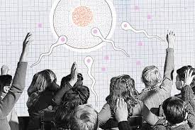 La Importancia De Una Educacion Sexual Temprana Los Estudiantes Tienen Informacion Sobre Sexualidad Mucho Antes De La Ensenanza Media Llegar En Primero Medio Es Llegar Tarde La Tercera
