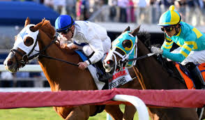 2 may 20212 may 2021.from the section horse racing. Nwhlzpw9p5vadm