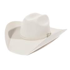 American Hat Co 6x Premium Silver Belly Fur Blend Hat Felt Cowboy Hats Cowboy Hats Hats