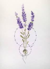 Tattoo Ideas Lavender Tattoo Tattoo Design Drawings Flower Drawing