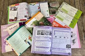 Gratis Nederlands Lesmateriaal Dutch For Children