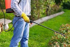Find out using our updated prices charged for different categories of pests. How Much Does Pest Control Cost In 2021 With Local Prices