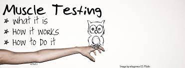 We did not find results for: What Is Muscle Testing And How Does Testing By Proxy Work The Vitality Code