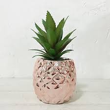 High quality items and amazing sales every week. Porcelain Potted Artificial Succulent 7 8 Pineapple Home Decor Office Plant Rose Gold Buy Online In Bahamas At Bahamas Desertcart Com Productid 60147965