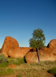 Eine verwaltungseinheit, die im gegensatz zu den gliedstaaten wie western australia oder south australia keine eigenstaatlichkeit besitzt. Northern Territory Landkarten Strassenkarten Stadtplane Campingfuhrer Australien Karten De