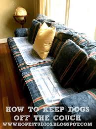 How I Keep My Dog Off The Couch Keep Dog Off Couch German Shorthaired Pointer Dogs