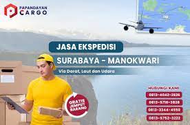 Hal tersebut sebagai efek dari perkembangan pembangunan infrastruktur di wilayah papua serta trend belanja online saat ini. Ekspedisi Surabaya Manokwari Papandayan Cargo Surbaya