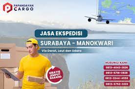 Jalur pengiriman melalui ekspedisi laut, kargo udara, serta pengiriman jalur darat (mobil, truk, dan kontainer). Ekspedisi Surabaya Manokwari Papandayan Cargo Surbaya
