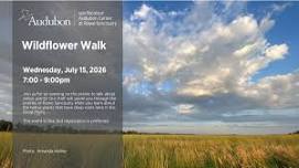 Wildflower Walk