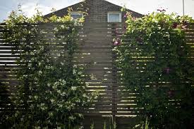 Pin On Backyard Landscaping Designs