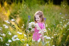 Where to pick flowers for free. Child Picking Wild Daisy Flowers In Field Kids Play In A Meadow And Pick Flower Bouquet On Summer Day Toddler Girl Outdoors In Spring Stock Photo Picture And Royalty Free Image Image