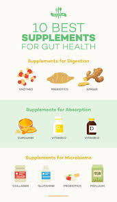 The 10 Most Important Supplements You Need For A Healthy Gut Gut Health Health Basil Health Benefits