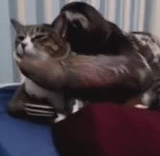 Shhh Just Let It Happen Gif On Imgur