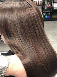 Formula The Perfect Chestnut Brown Hair Color Brown Chestnut Chesnut Hair Color Chestnut Brown Hair