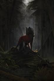 See this unit and thousands more at rvusa.com. Fotos Wolf Fantasy Magische Tiere 640x960