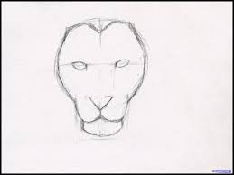 Unique Free Pencil Drawing Lessons For Beginners Lion Face Drawing Easy Drawings Sketches Easy