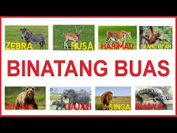 We did not find results for: 41 Koleksi Gambar Hewan Buas Untuk Anak Tk Hd Gambar Hewan