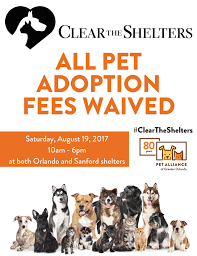 Learn more about a new beginning pet rescue, inc. All Dogs And Cats Are Pet Alliance Of Greater Orlando Facebook