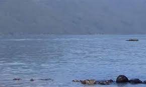 Airport type s location official name lago colico airport technical data icao code sclk airport code iata code features of the airport. Impactante Video Del Monstruo Del Lago Colico En Chile