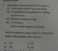 Gambar rantai makanan yang ada di dalam ekosistem sawah. Rantai Makanan Yg Terjadi Di Ekosistem Kebun Terdapat Di Nomor Brainly Co Id