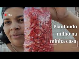 Bloco Ecológico de papelão: novos materiais