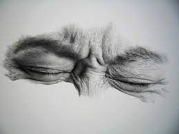 30 Realistic Pencil Drawings And Drawing Tips For Beginners Realistic Pencil Drawings Realistic Drawings Drawing Artist