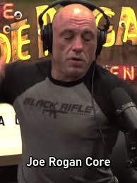 Joe Rogan Core Martial Arts Strategy Insights