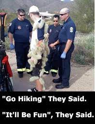 Into The Wild Hike Or Die Interview The Travel Tart Blog Hiking Quotes Funny Funny Pictures Funny Instagram Posts
