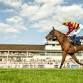 Summer Evening Racing