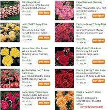 Perhaps he is saying, here's something beautiful for a beautiful person, or he's making a 2. Pictures Flowers Meaning Google Search Flower Meanings Rose Rise Foliage