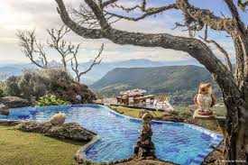 Pin Em Viagens Dicas