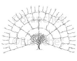 Pin By Tara Wright On Christmas Gifts Family Tree Art