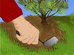 If you are like me, digging up bushes and trees sucks. How To Clear Large Shrubs 15 Steps With Pictures Wikihow