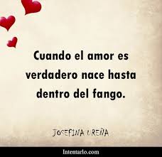Check spelling or type a new query. 49 Frases De Amor Bonitas Y Romanticas 1 Nueva Cada Semana