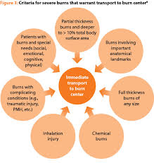 Image result for Burn Management