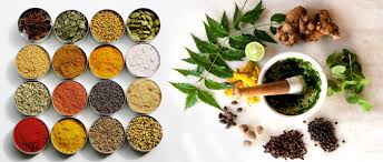 Image result for images of ayurvedic herbals