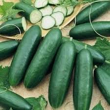 Diva Cucumber Smooth Skin Amazing Flavor Small Seeds Cucumber Seeds Burpless Cucumber Vegetable Seed