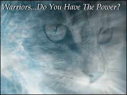 This extension is especially designed for all fans of erin hunter and her warrior's book series. 70 Warrior Cats Wallpaper Desktop On Wallpapersafari