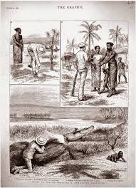 Black Babies Alligator Bait Human Babies As Crocodile Bait Hunting Practices Of The British In Colonial India Black History Facts African History African American History