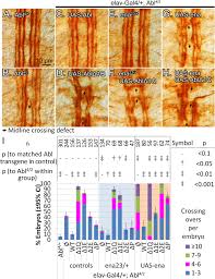 Avem 6 angajati care doresc incetarea cim prin demisie conform art. The First Quarter Of The C Terminal Domain Of Abelson Regulates The Wave Regulatory Complex And Enabled In Axon Guidance Neural Development Full Text