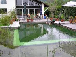 Natur Pool Die Wichtigsten Fragen Zur Anlage Und Pflege In 2020 Natur Pool Schwimmteich Naturschwimmbecken