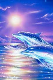 Blue Dolphins Glitter Effect For Android Dolphin Art Dolphin Photos Dolphin Images