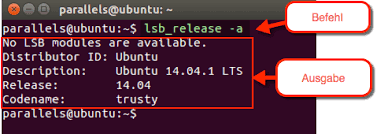 Ubuntu releases are made semiannually by canonical ltd, the developers of the ubuntu operating system, using the year and month of the release as a version number. Anleitung Ubuntu Version Anzeigen Techmixx