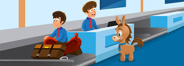 Jetcost.ie has been visited by 10k+ users in the past month Southwest Baggage Fees What You Need To Know