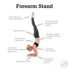 Forearm Stand Forearm Stand Yoga Tutorial Restorative Yoga