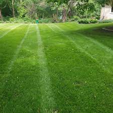 Our five service treatment plan not only gives you a beautiful and healthy lawn but also more time to enjoy it! Green Thumb Lawn Care Home Facebook